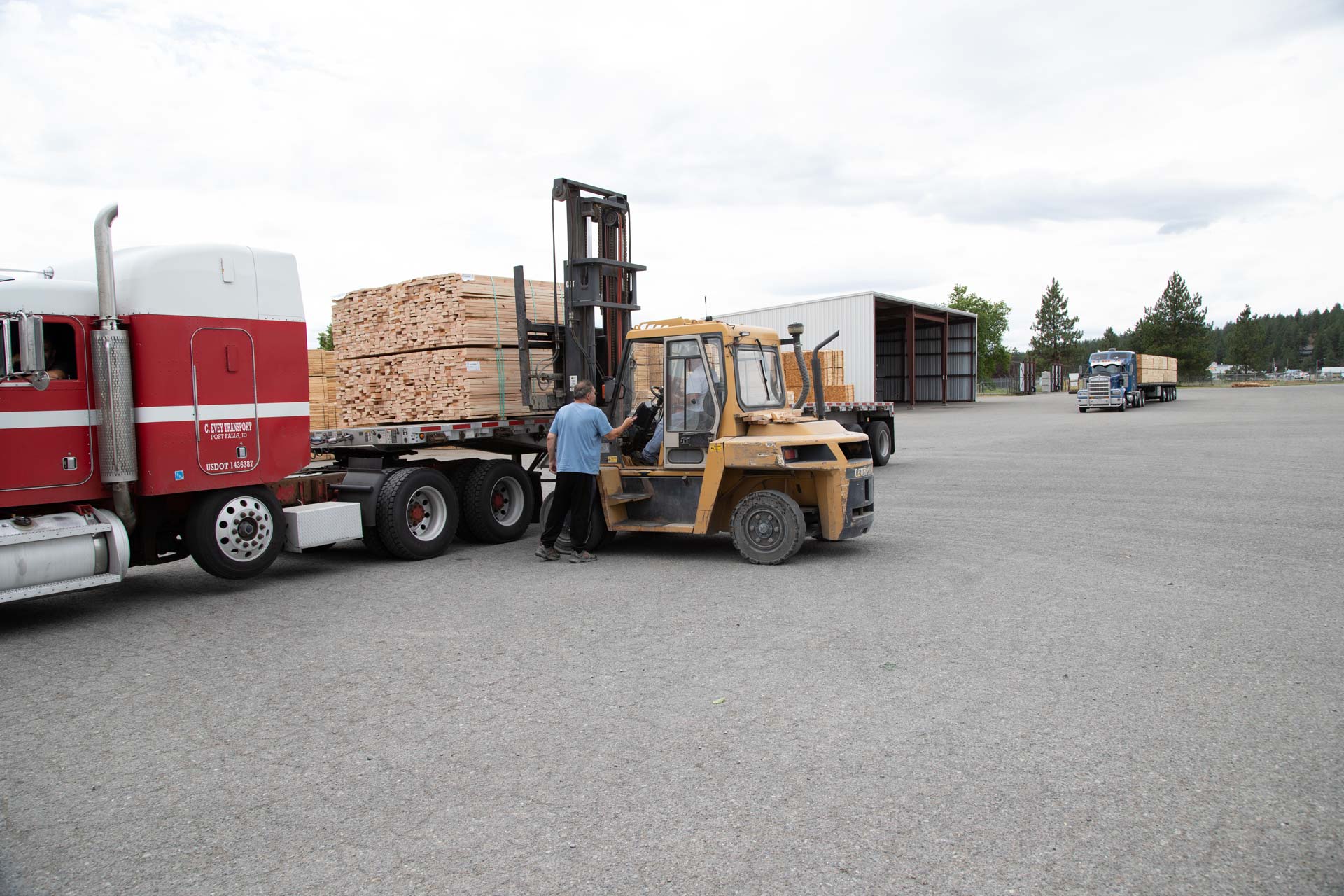 Lumber Dispatch, Transportation Fox LumberFox Lumber